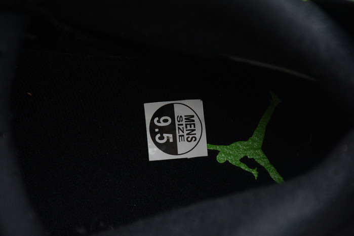 Air Jordan 6 Electric Green CT8529-003