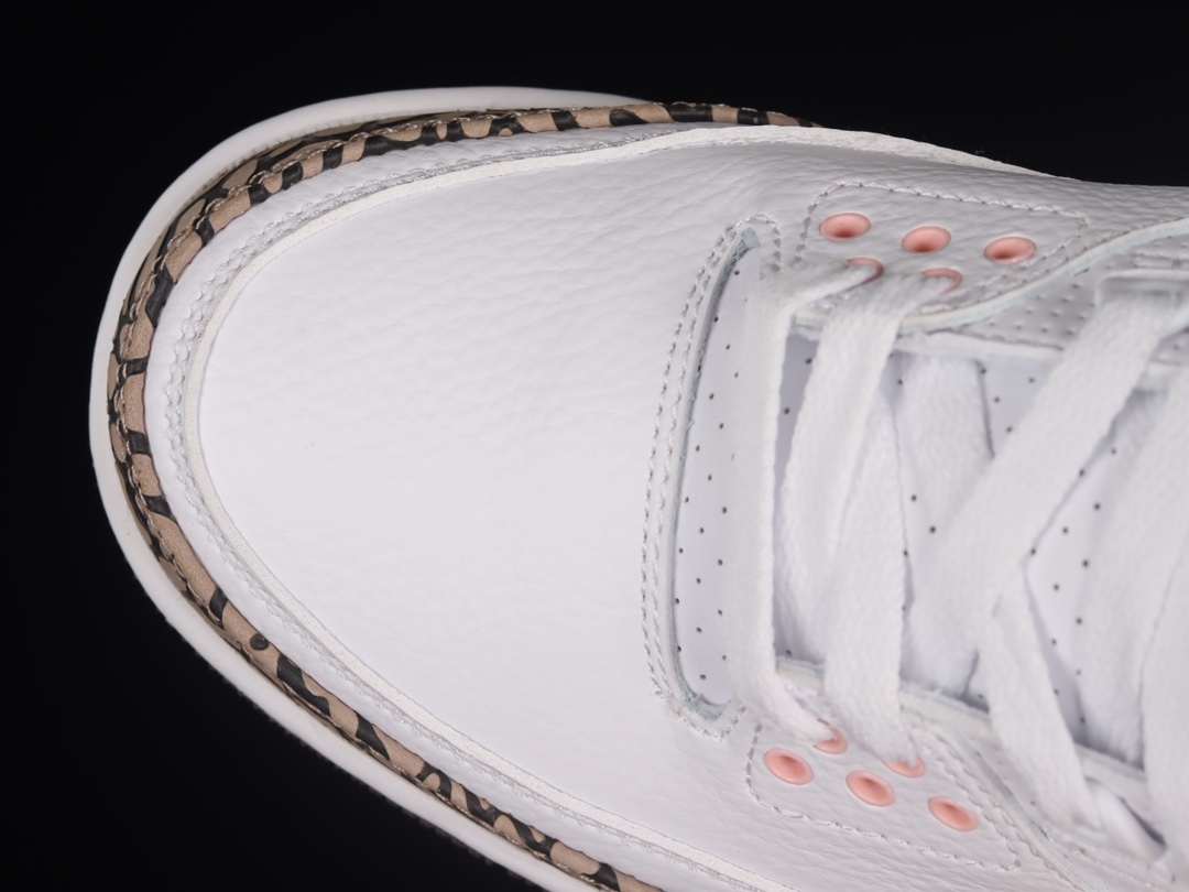 Jordan 3 Retro Neapolitan Dark Mocha CK9246-102