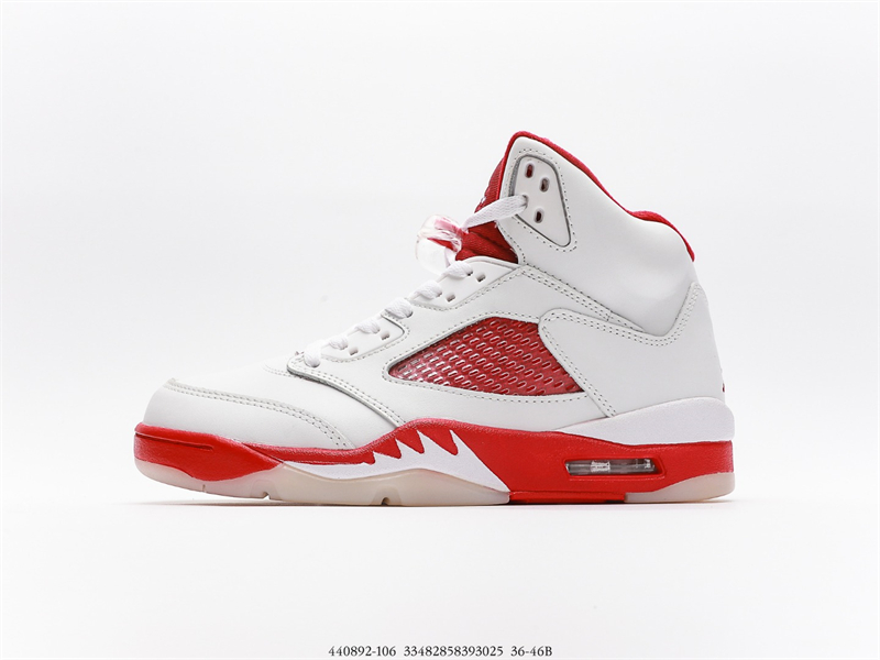 Air Jordan/Air Jordan 5