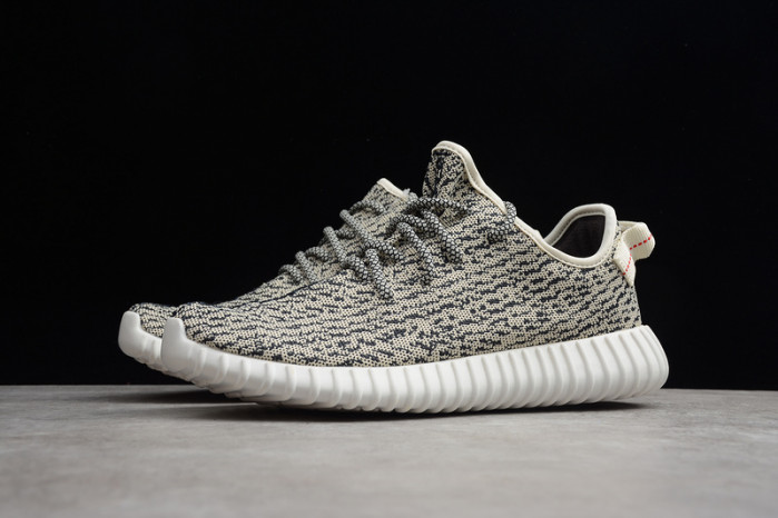 adidas Yeezy Boost 350 Turtle Dove AQ4832