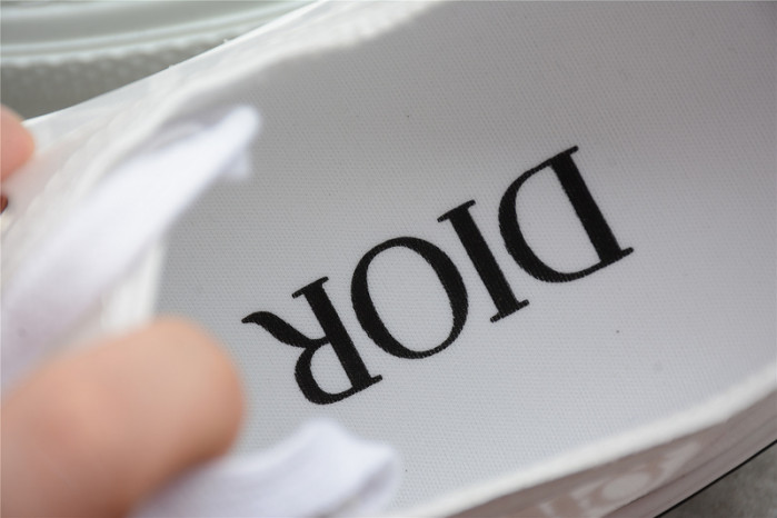 B23 OBLIQUE low TOP SNEAKERS T00853H065