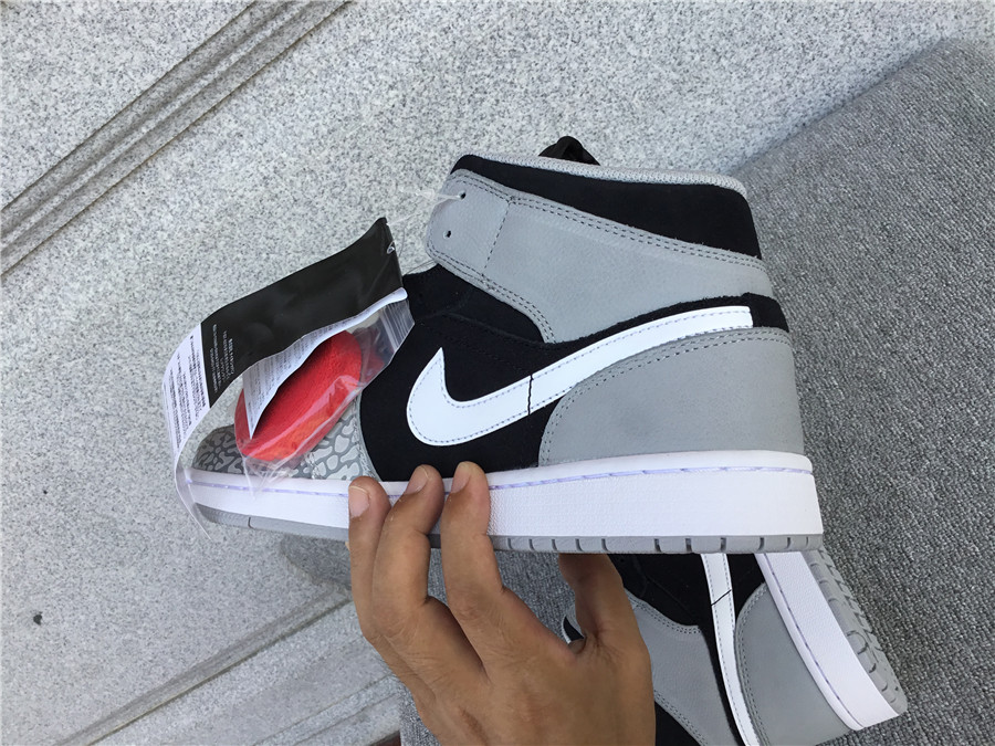 Air Jordan 1 Mid DM1200-016