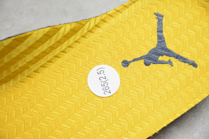 Air Jordan 5 Retro SP Michigan CQ9541-704