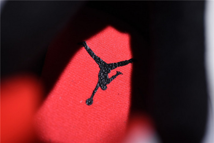 Air Jordan 4 Pale Citron 308497-116