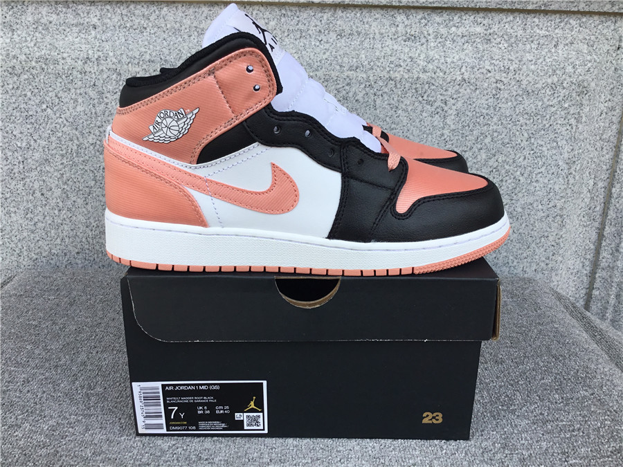 Air Jordan 1 Mid DM9077-108
