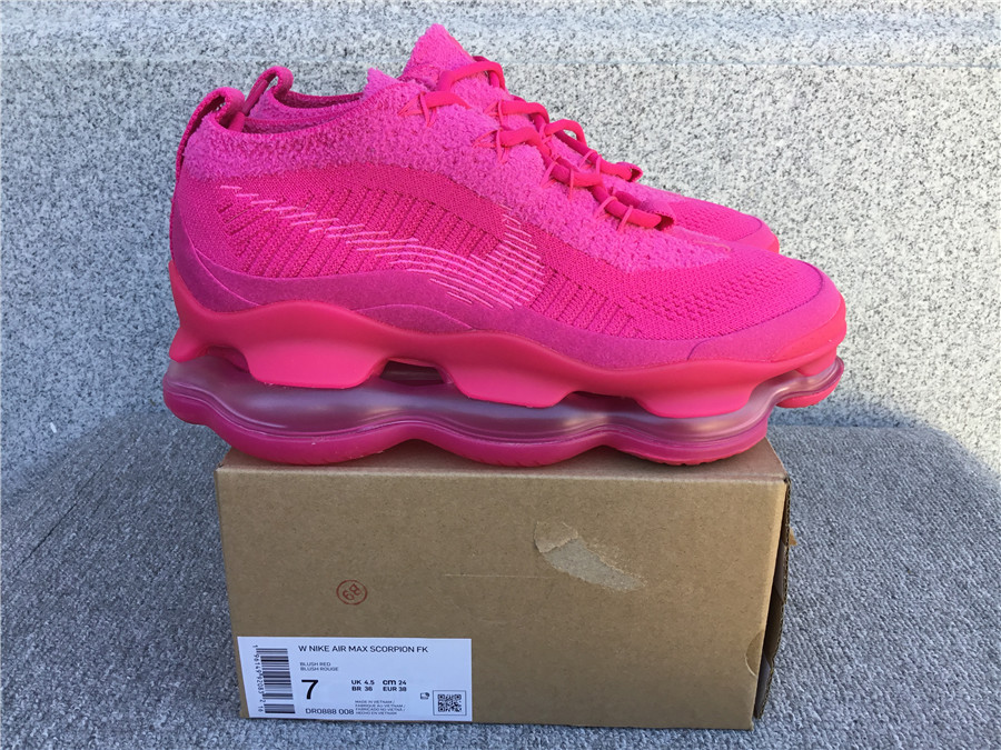 Nike Sneakers/Nike Air max