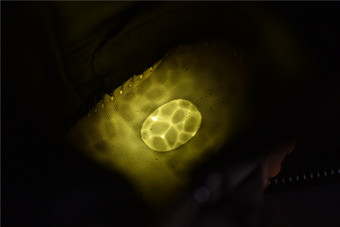 adidas Yeezy 750 Boost Light Brown BY2456