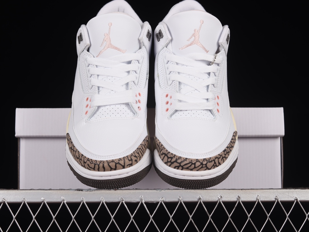 Jordan 3 Retro Neapolitan Dark Mocha CK9246-102