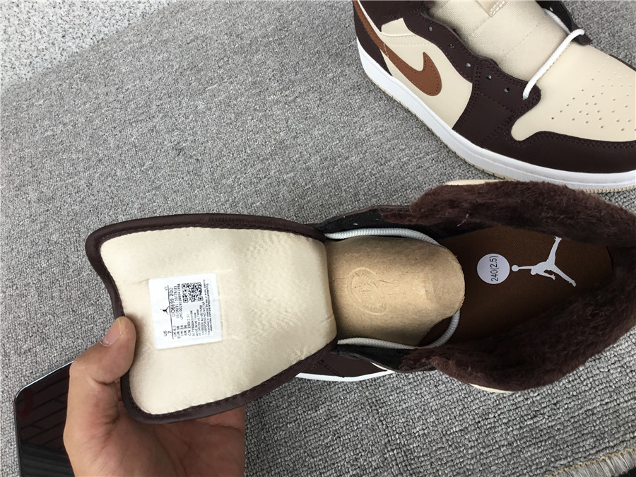 Air Jordan 1 Mid SE DO6699-200