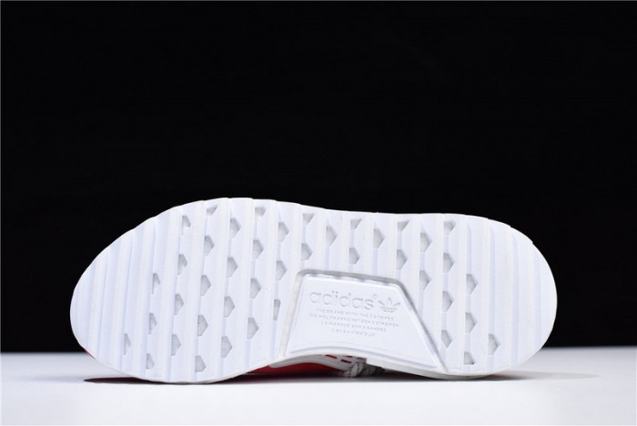 Pharrell Williams PW x Adidas Hu NMD Trail 