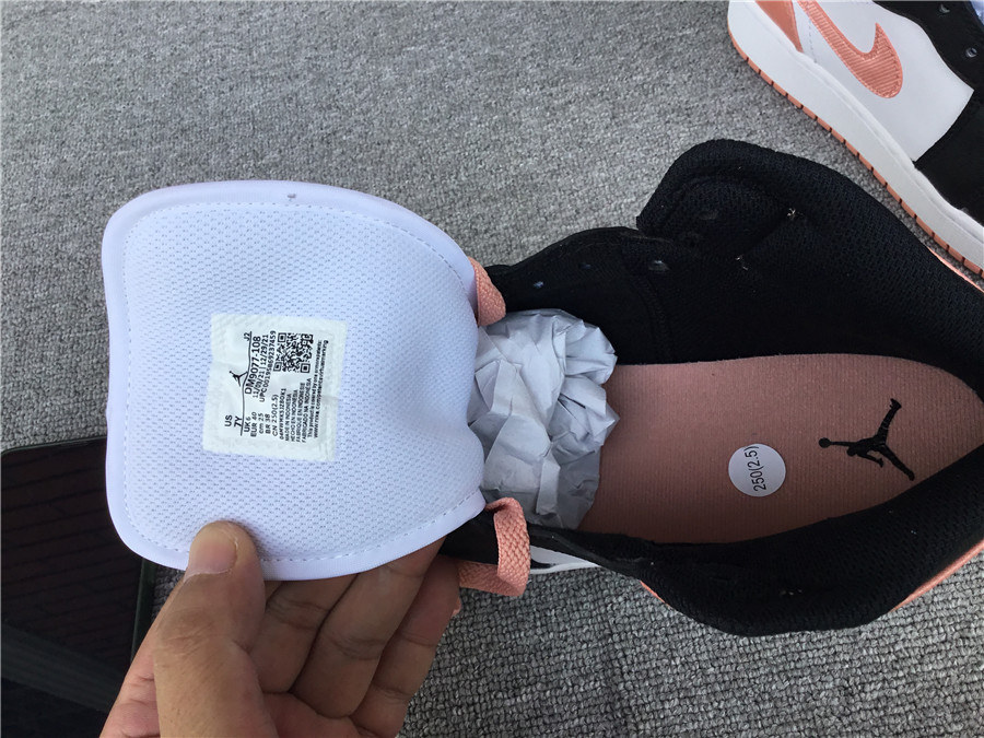 Air Jordan 1 Mid DM9077-108