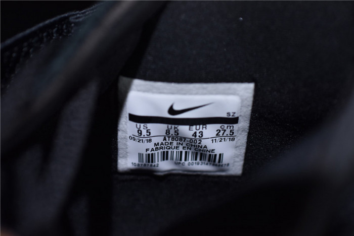 Nike Air Fear Of God Raid Black AT8087-002