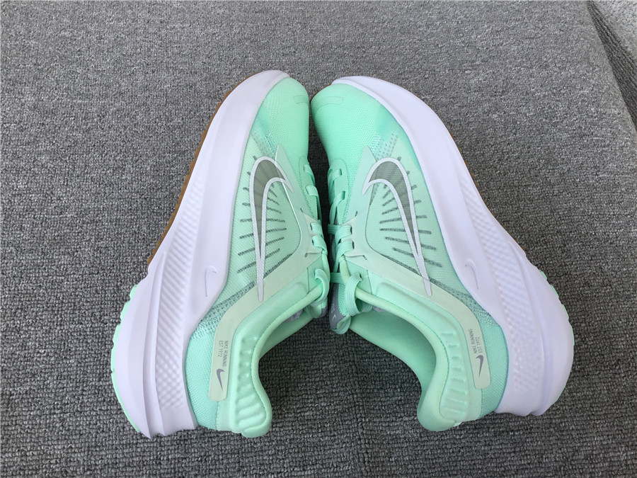 Nike Downshifter 11 Moon Landing Series Running Shoes DD9291-300