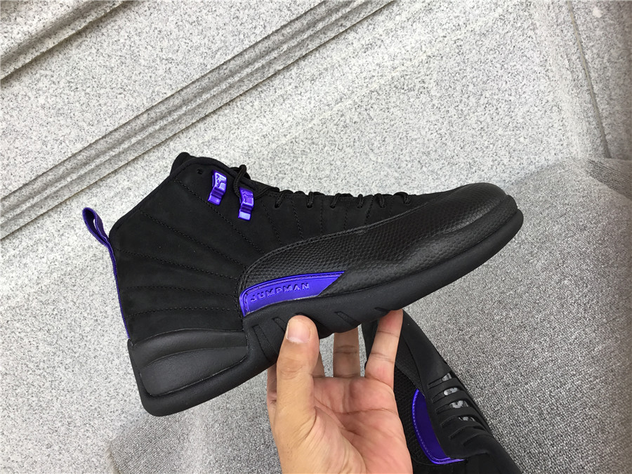 Air Jordan 12 Dark Concord