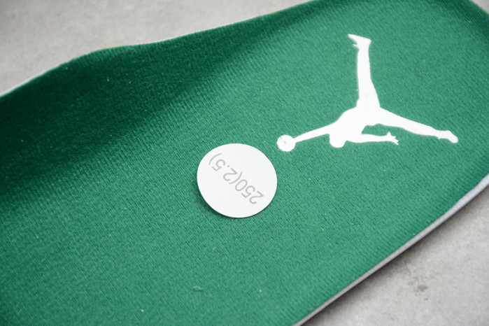 Air Jordan 4 Retro Pure Money white green CT8527-113