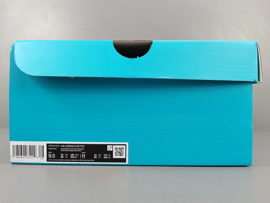Air Jordan 6