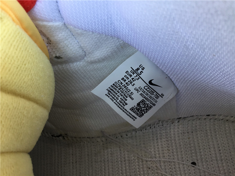 Nike SB Dunk High x Color Skates CZ2205-700