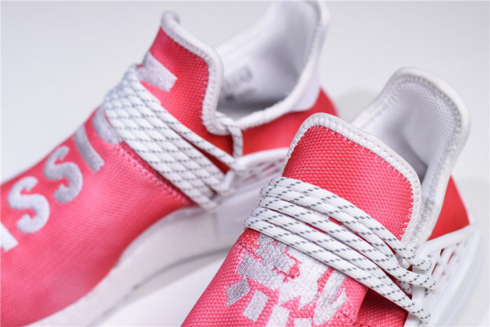 Pharrell Williams PW x Adidas Hu NMD Trail 