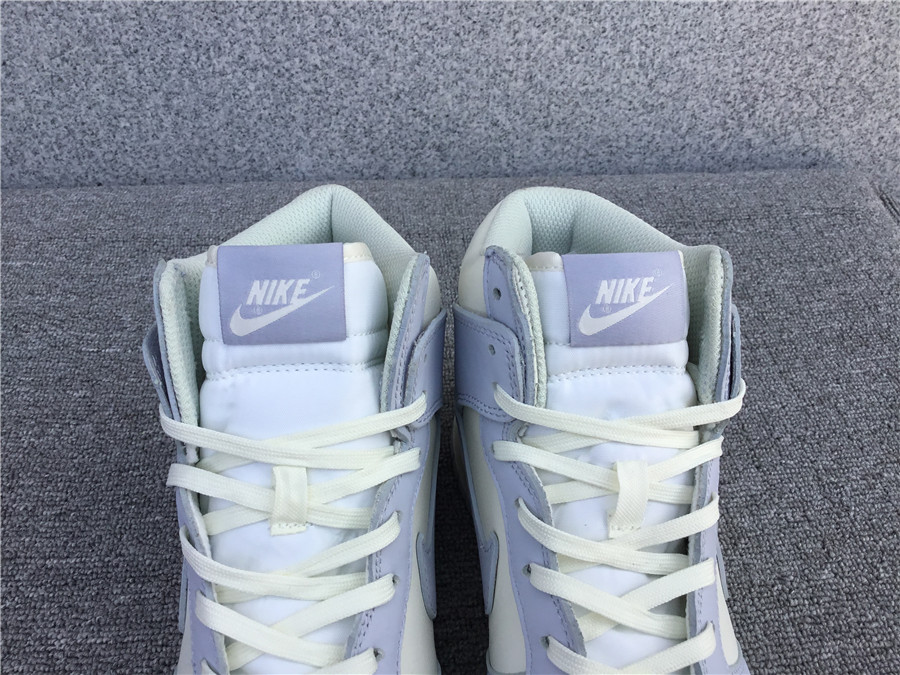 Nk SB Dunk High DD1869-102