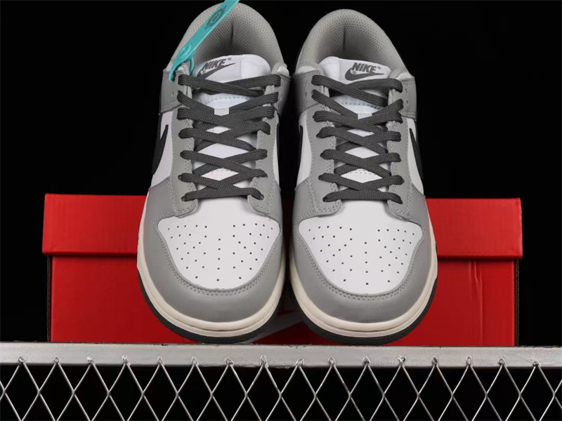 Nike Dunk Low Light Smoke Grey (W) DD1503-117