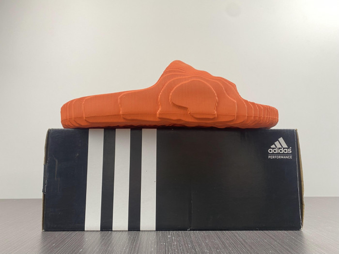 adidas new colleettion 6