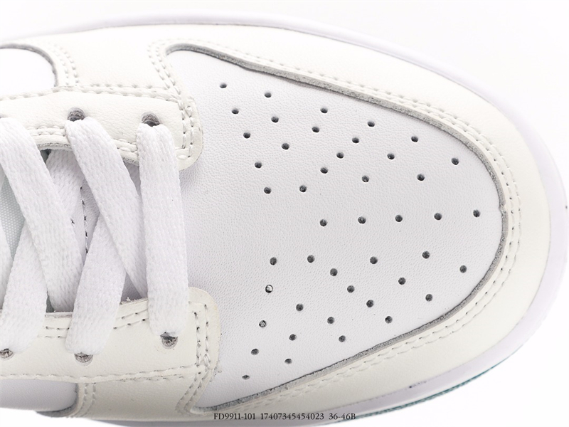 Nike Dunk Low GS FD9911-101