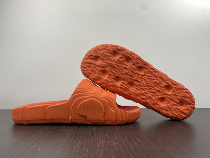 adidas new colleettion 6