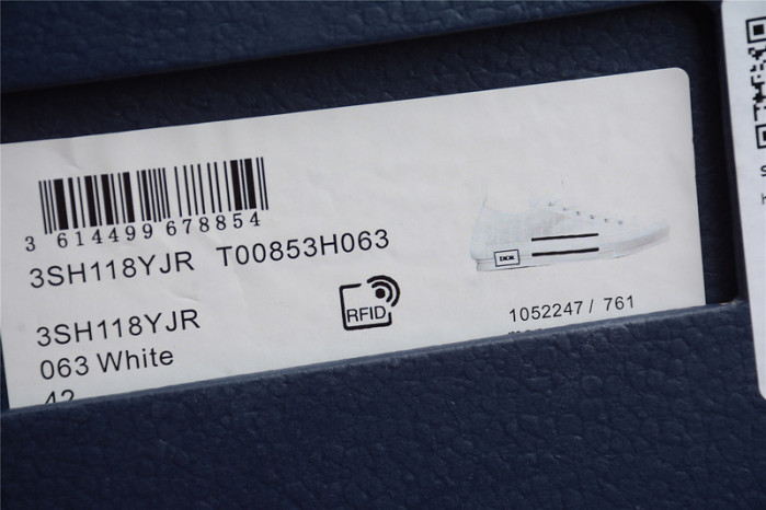 B23 OBLIQUE low TOP SNEAKERS T00853H065