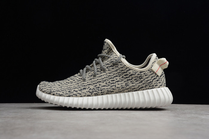 adidas Yeezy Boost 350 Turtle Dove AQ4832