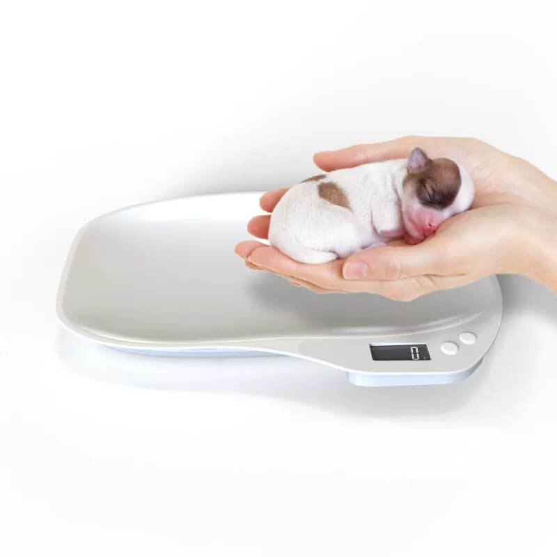 LIORQUE Baby & Pet Digital Scale with LCD Display 15KG - LIORQUE