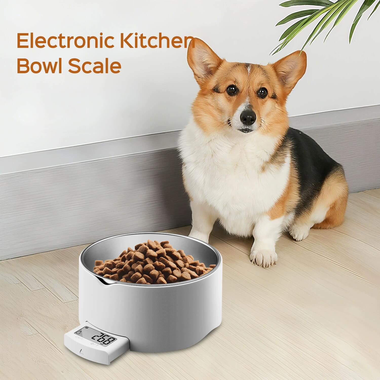 LIORQUE Small Digital Pet Food Scale — Precision Weighing for Dog & Cat Food - LIORQUE