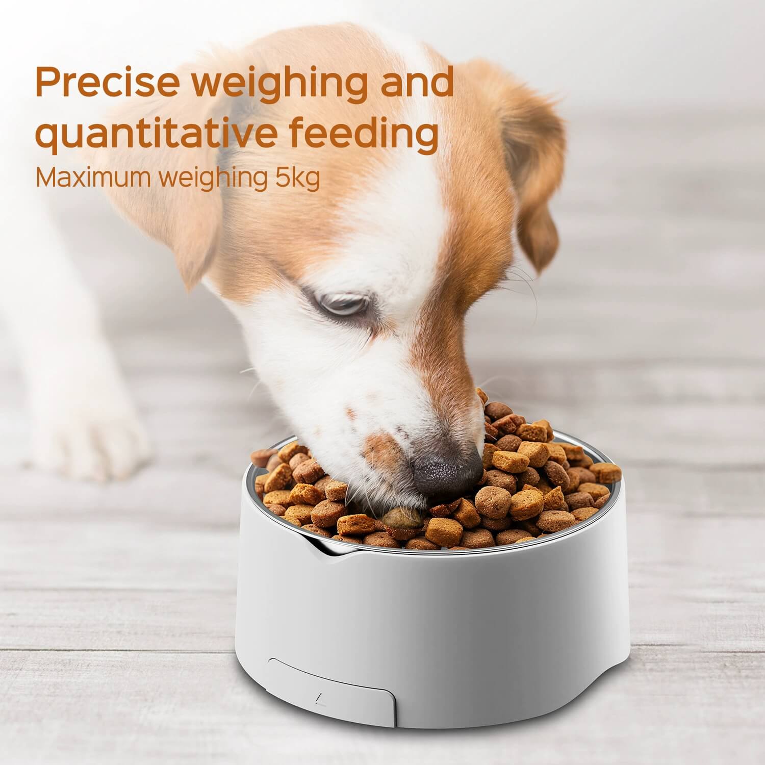 LIORQUE Small Digital Pet Food Scale — Precision Weighing for Dog & Cat Food - LIORQUE