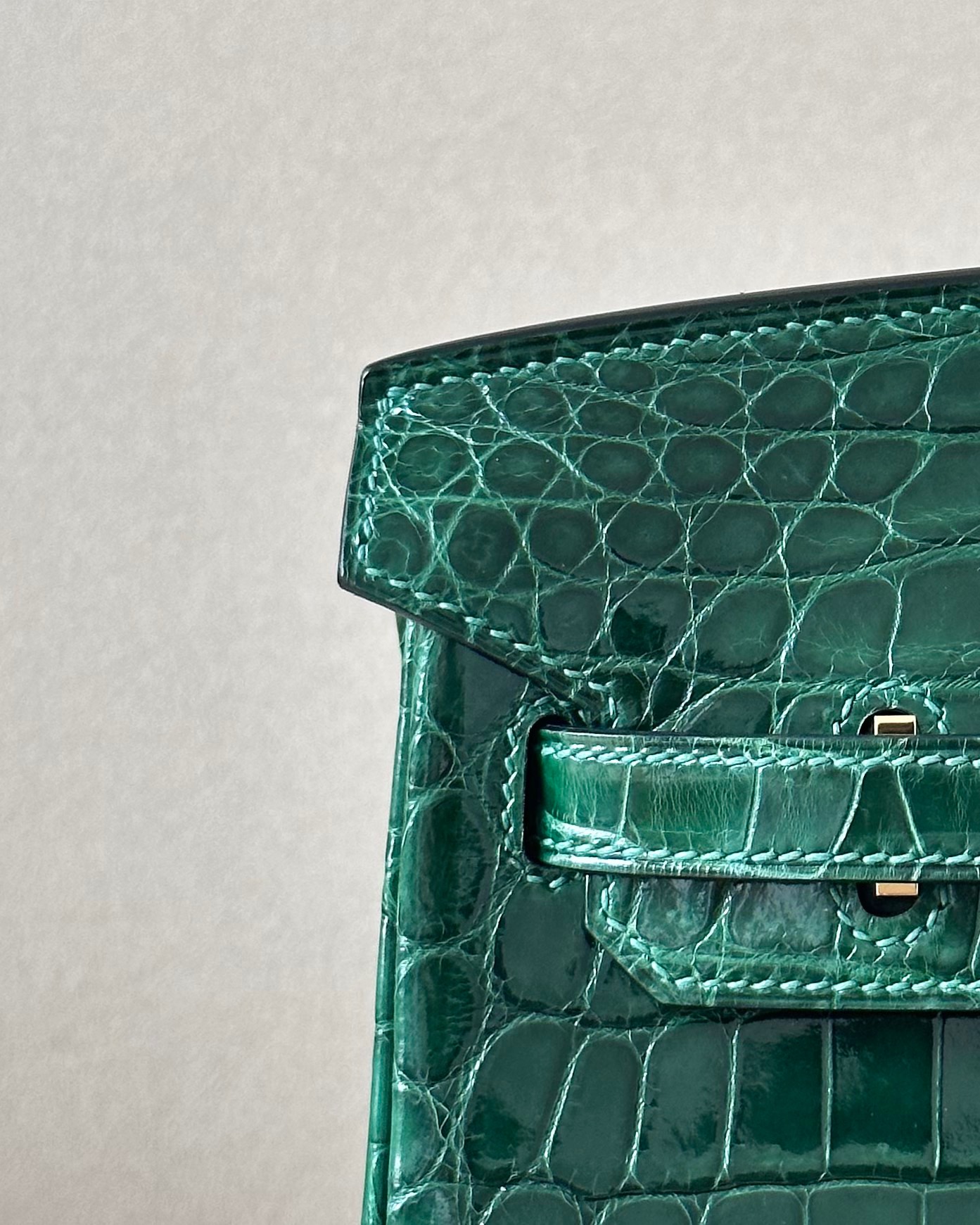 Advanced customization Birkin 25-30 crocodile skin crocodile skin