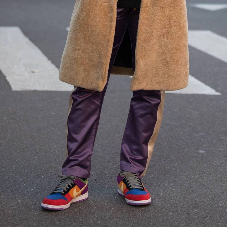 Dunk Low SP Retro Viotech 2019 CT5050-500