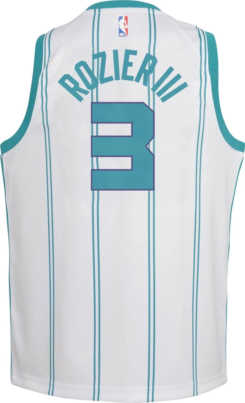 Jorda Charlotte Hornets Terry Rozier Iii 3 Dri-fit Swingma White NBA Jersey Youth