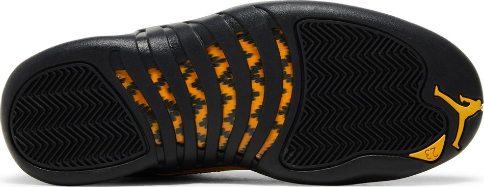 Air Jordan 12 Retro Black Taxi CT8013-071