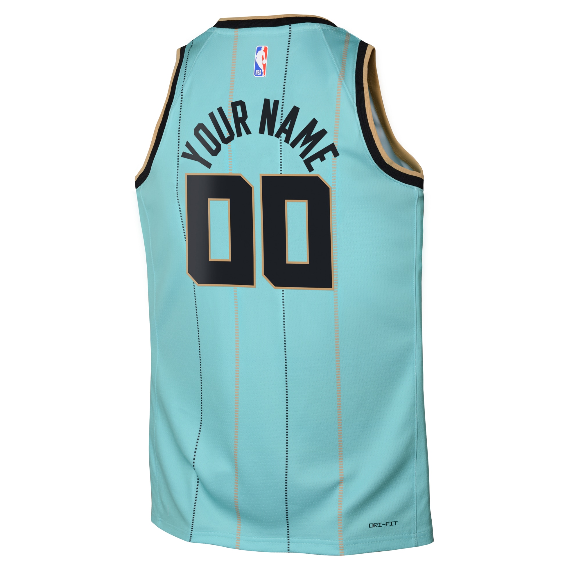 Charlotte Hornets Jordan City Edition Swingman 2024 Custom NBA Jersey Youth