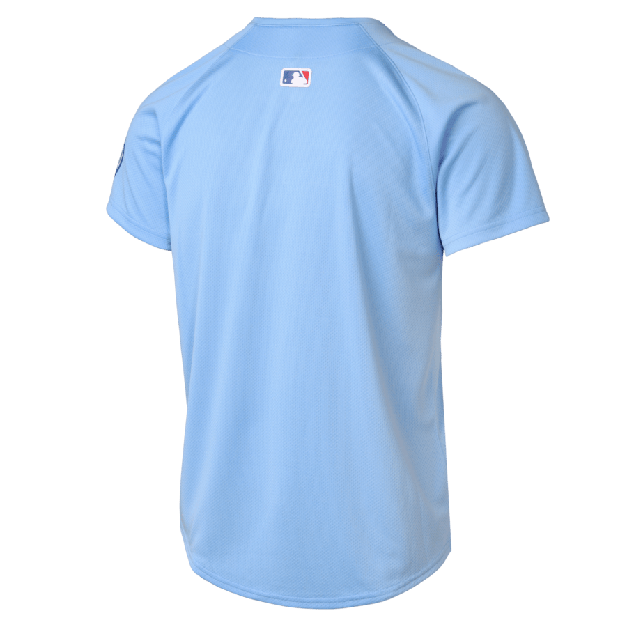 Chicago Cubs Limited Alternate 2 Baby Blue MLB Jersey Youth
