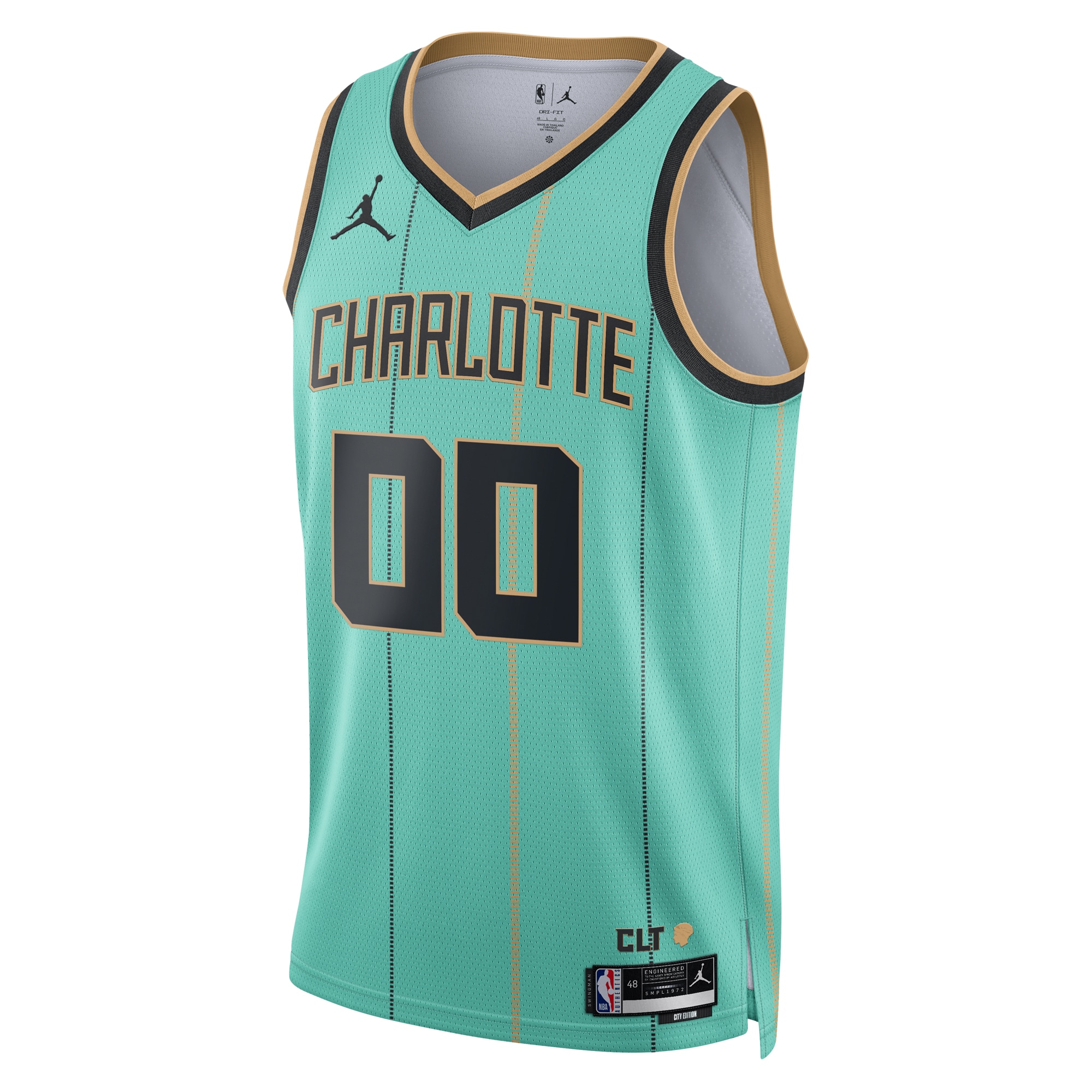 Charlotte Hornets Jordan City Edition Swingman 2024 Custom Unisex NBA Jersey Unisex