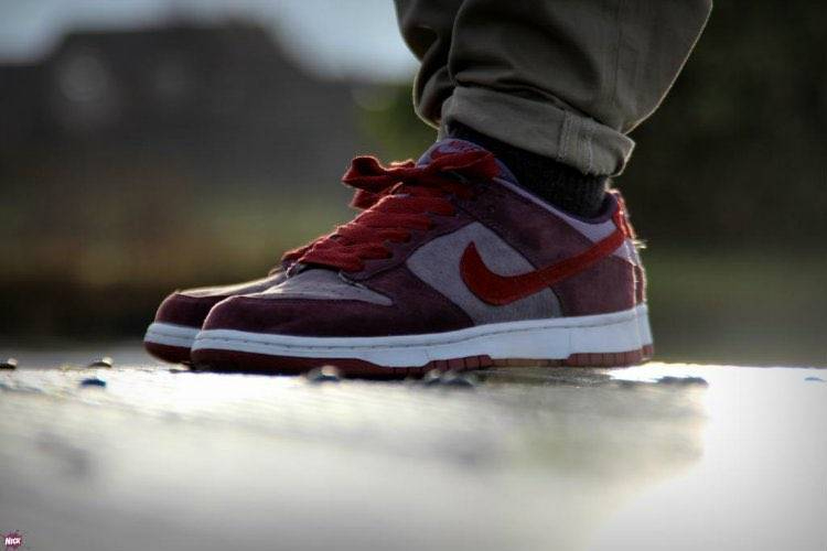 Dunk Low Retro Vol. 1 SP Plum Cu1726-500