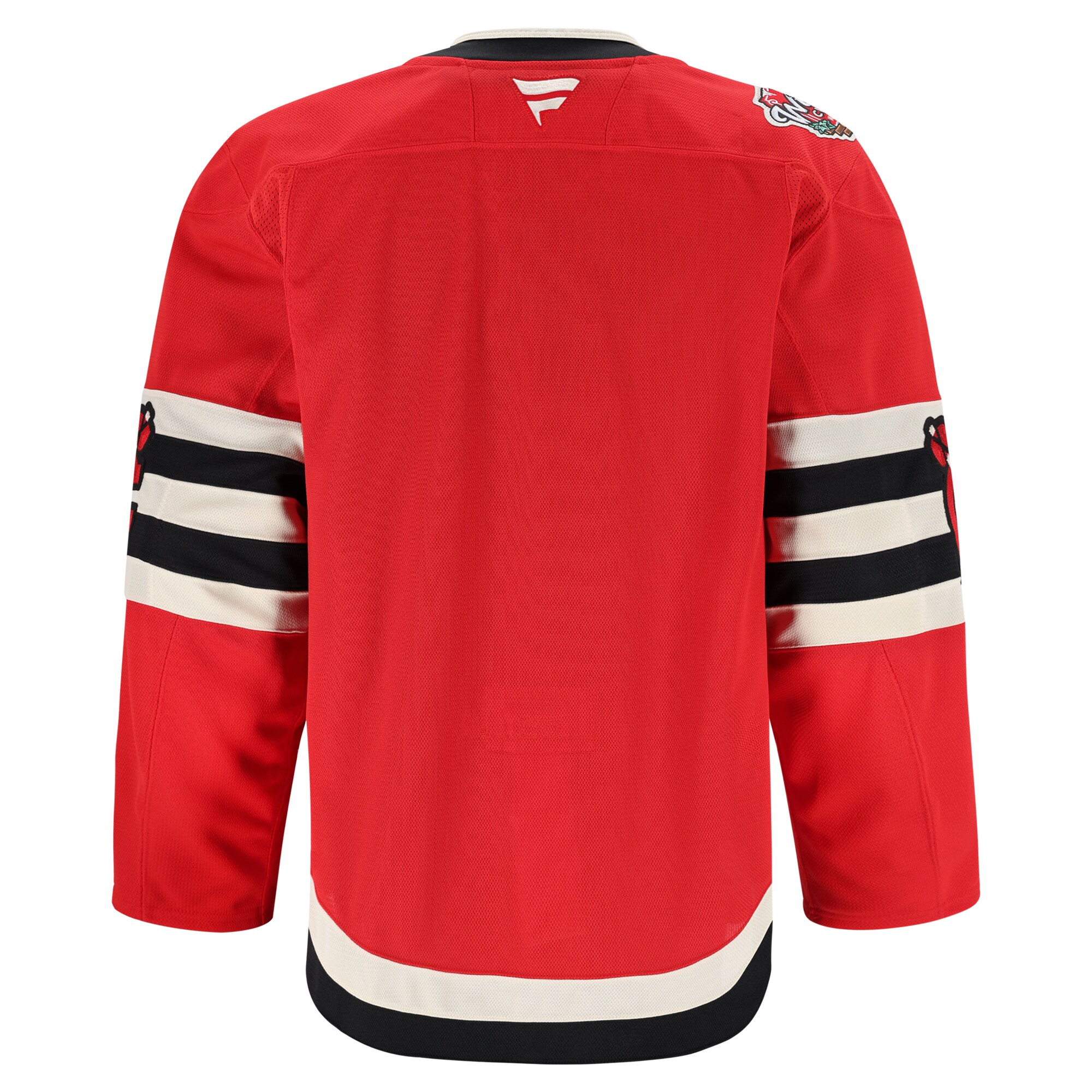 Chicago Blackhawks Red 2025 Winter Classic Pro NHL Jersey Men's