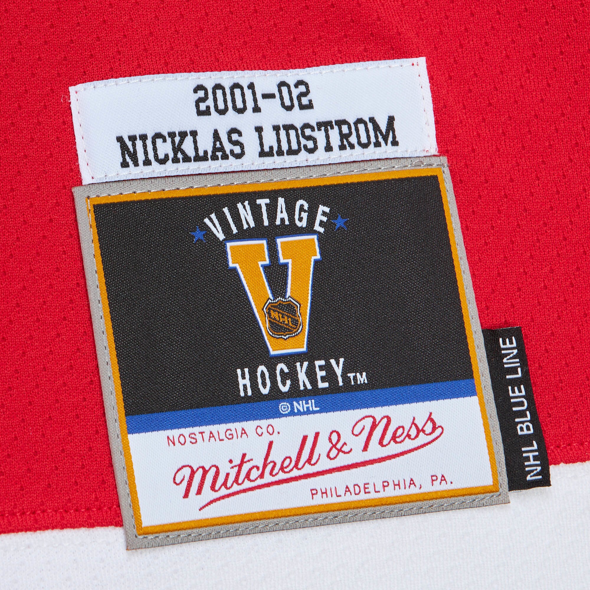 Detroit Red Wings Nicklas Lidstrom Mitchell Ness Red Alternate Captain Patch 2001/02 Blue Line Player NHL Jersey Men's