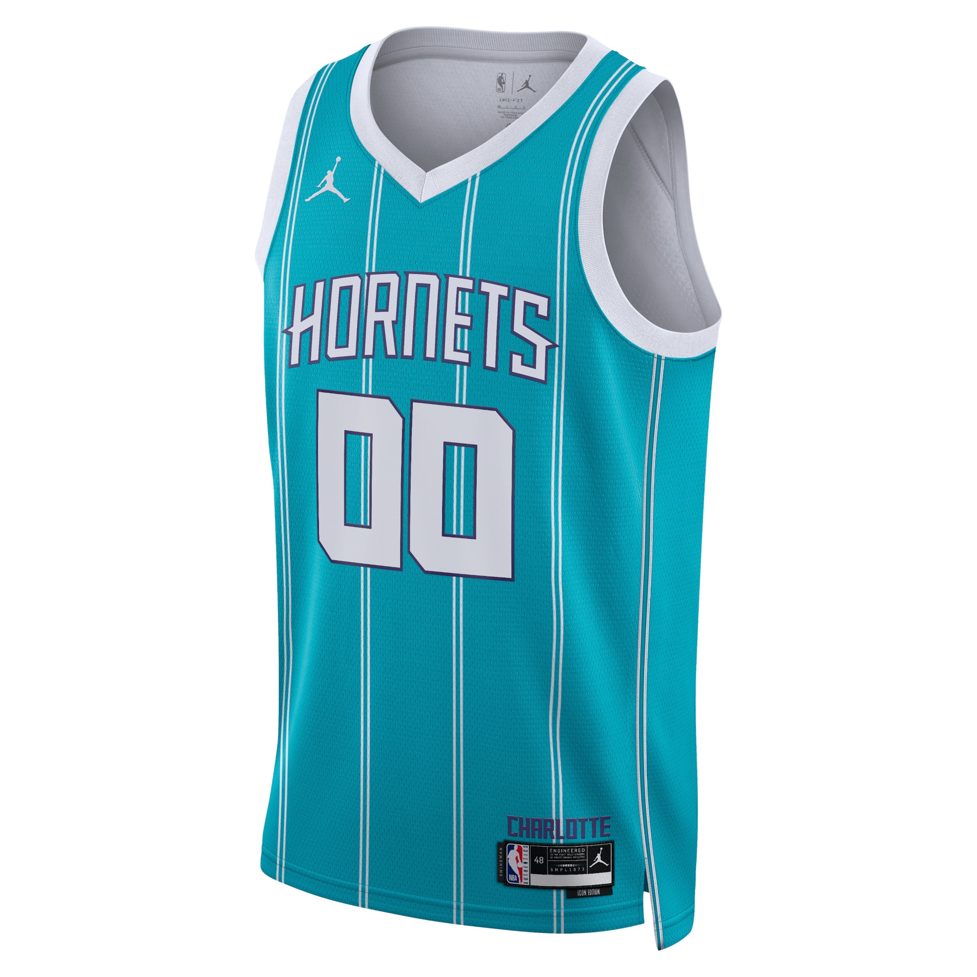 Charlotte Hornets Jordan Icon Edition Swingman Custom Unisex NBA Jersey Unisex