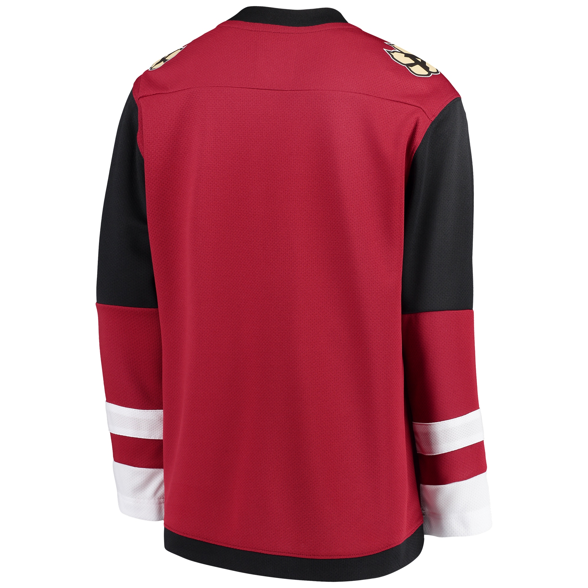Arizona Coyotes Red Home Blank NHL Jersey Youth