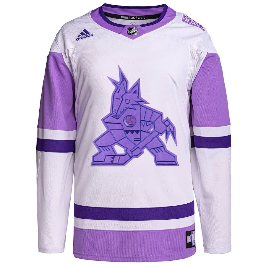 Arizona Coyotes Fights Cancer Primegreen Custom White/Purple NHL Jersey Men's