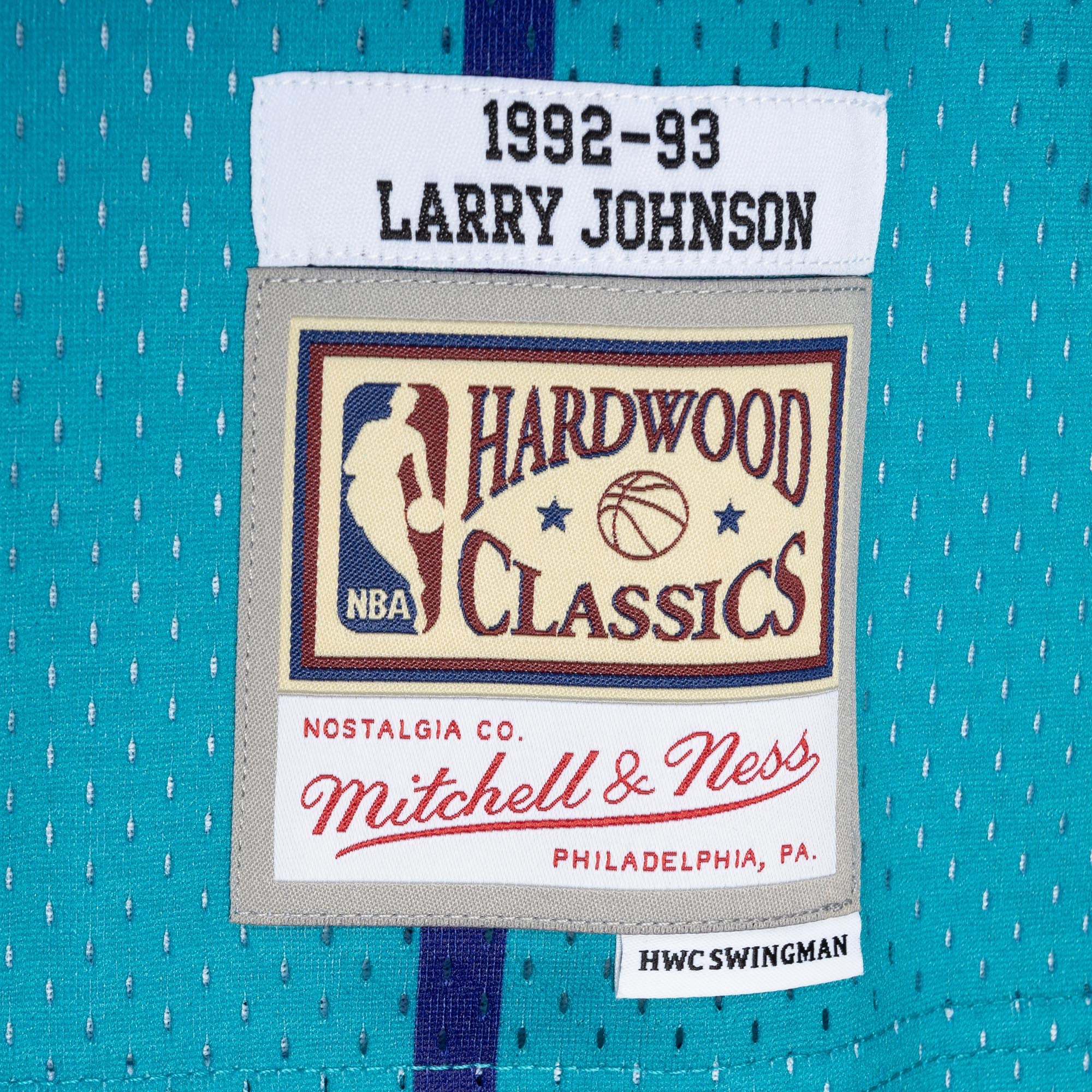 Mitchell Ness Larry Johnson Teal/Purple Charlotte Hornets Hardwood Classics 1992/93 Split Swingman NBA Jersey Men's