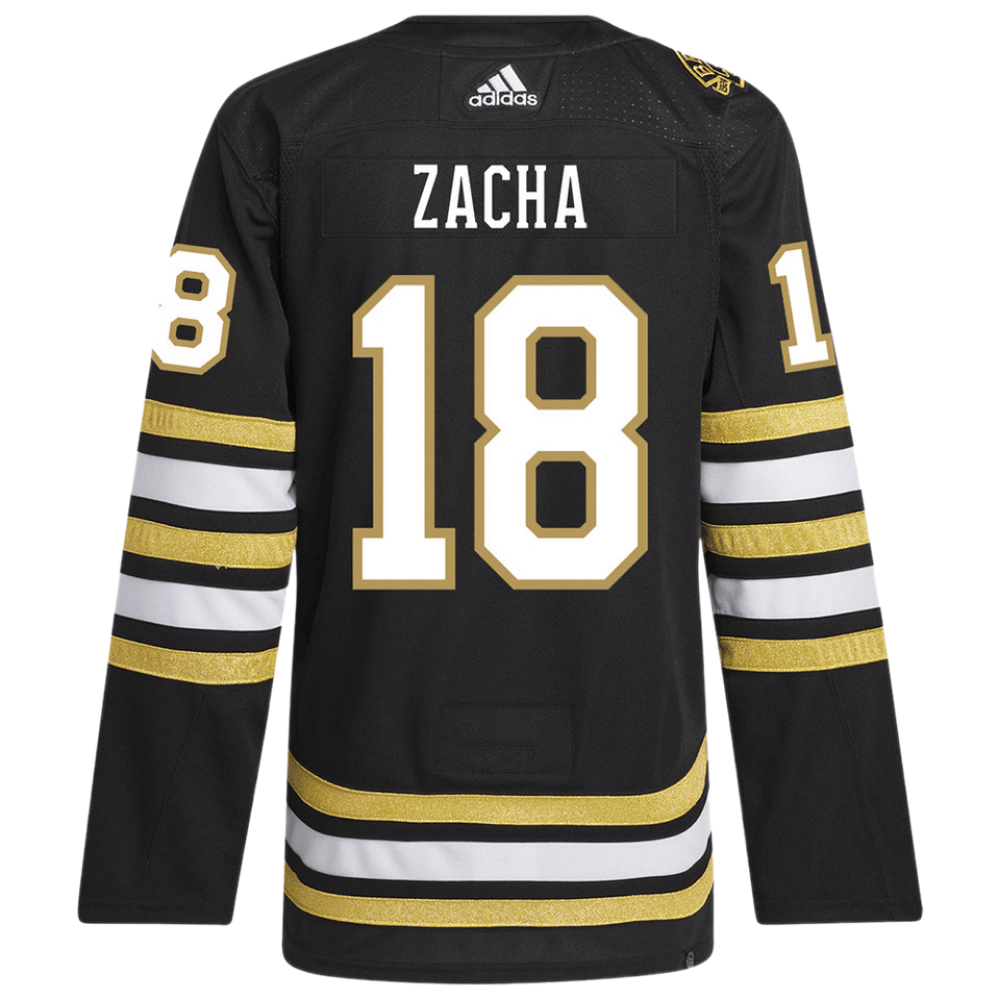 Pavel Zacha 18 Boston Bruins 100th Anniversary Primegreen Home Black NHL Jersey Men's