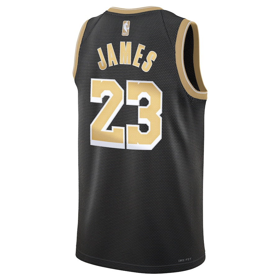 LeBron James 23 Los Angeles Lakers Unisex Select Series Swingman Black NBA Jersey Unisex