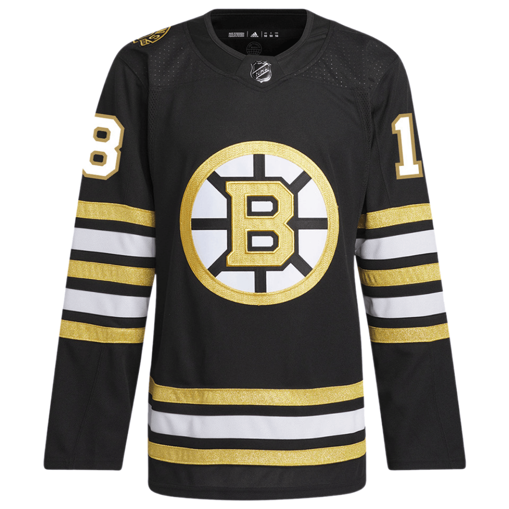 Pavel Zacha 18 Boston Bruins 100th Anniversary Primegreen Home Black NHL Jersey Men's