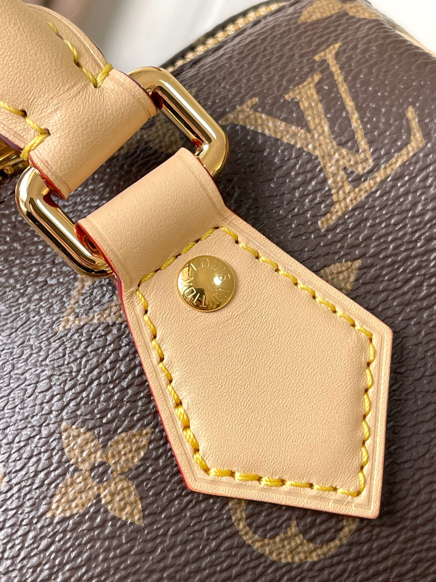 M14175 LV x TM Speedy Bandoulière 20